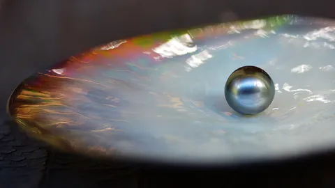 มื้อค่ำนำโชค