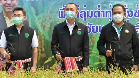 รมว.เกษตรฯ เร่งแผนจราจรน้ำคลองชัยนาท-ป่าสัก ป้องกันน้ำท่วมนาข้าวซ้ำซาก