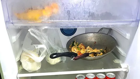 ถนอมอาหารมิติใหม่ แช่ตู้เย็นทั้งกระทะ สะดวกอุ่น พร้อมทาน