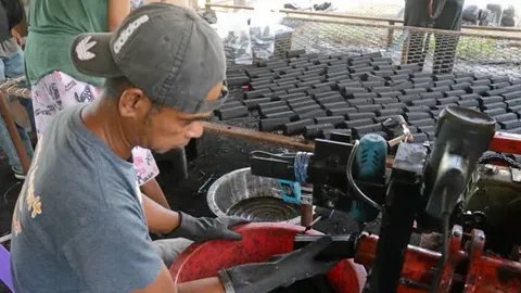 ถ่านอัดแท่งออร์แกนิก