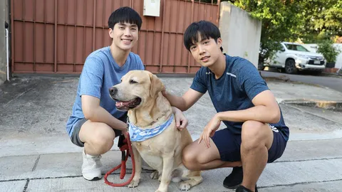 "ขึ้นช่าย" ขโมยซีน เอ็นดูความน่ารัก "เจ้าดื้อ" หมาแสนรู้ ใน "คุณหมีปาฏิหาริย์"