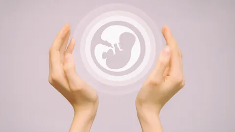 การฝากไข่ ฝากสเปิร์ม วางแผนมีบุตรได้ตั้งแต่วันนี้