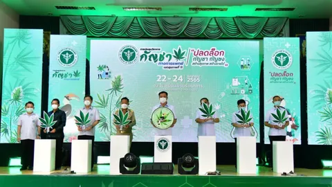 "อนุทิน" เปิดงานกัญชา หนุนผลักดันสร้างประโยชน์ทางการแพทย์-เศรษฐกิจ 
