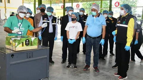 กวก. ย้ำส่งออกทุเรียนไปจีน ต้องยึดมาตรการ GMP Plus และ GAP เท่านั้น