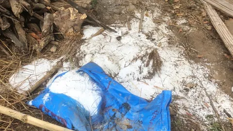 ฟังอีกมุม ชาวบ้านแจง "ช้างตาย" หลังกินปุ๋ยเคมี ยันเก็บไว้ดีแต่ถูกพังโรงเก็บ