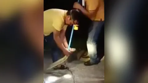 "จงอาง" เปิดศึกปะทะ "งูเห่า" แต่สุดท้าย เจอกู้ภัยจับทั้งคู่ (คลิป)