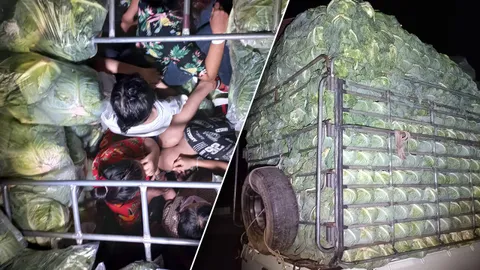 กระบะขนกะหล่ำปลี ทำช่องลับ ยัดแรงงานพม่าอัดแน่นรถ หวิดขาดอากาศหายใจ (คลิป)