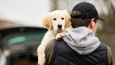 นึกว่าของเล่น