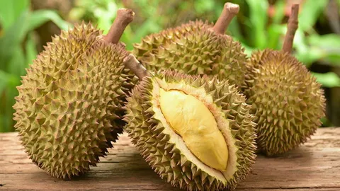 ไทยเปิดสวนทุเรียนเมตาเวิร์ส ยั่วใจนักท่องเที่ยวจีนแห่มาเปิบ