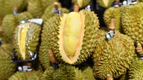 บุฟเฟต์ทุเรียน เซ็นทรัลเวิลด์กลับมาอีกครั้งในรอบ 3 ปี สาวกหมอนทองห้ามพลาด