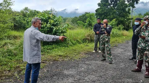 ช้างป่าโหดกระทืบลุงวัย 60 ออกวิ่งตอนเช้า ดับคารีสอร์ตใกล้ป่าเขาชะเมา