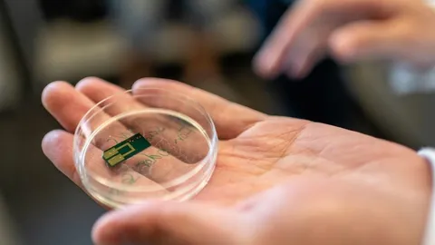 จมูกอิเล็กทรอนิกส์ ใช้ติดตามกลิ่นตัว