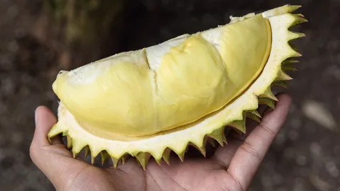 ชี้เป้าทุเรียนหมอนทองราคาถูก แม็คโครขายเริ่มต้น กก.ละ 159 บาท