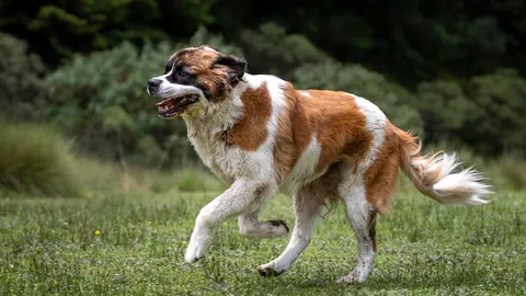 สงสัยจะไกลไปหน่อย