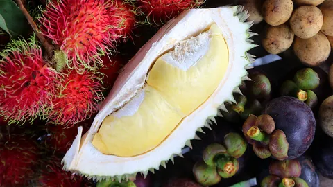 “พาณิชย์” ปรับแผนส่งผลไม้ไทยไปจีน ตั้งวอร์รูม ส่งทีมเจรจาเปิดด่าน