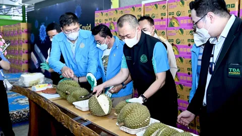 "เฉลิมชัย" มั่นใจทุเรียนไทยครองแชมป์ตลาดจีน โกยรายได้กว่าแสนล้าน