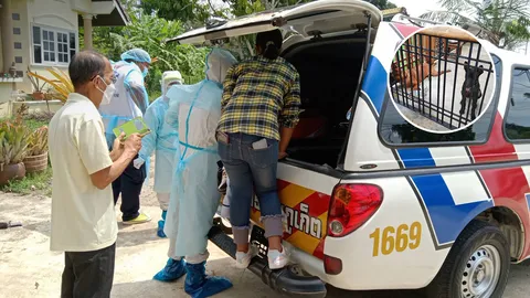 เจ้าตูบหลังอานกัดคอสาวพิการตาย หลังให้อาหารพลาดล้ม ทำหมาตกใจ (คลิป)