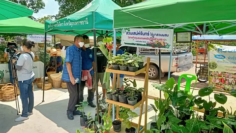 ตลาดเกษตรสีเขียวพิบูลมังสาหาร