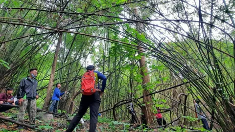 ตามเจอลุง 64 ตายค้างบนต้นไม้ ขนหัวลุก ศพกระตุก ตกลงมาเอง