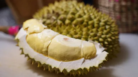 สาวกหมอนทอง ชะนี กระดุม ตามหา "บุฟเฟต์ทุเรียน" อิ่ม อร่อย ไม่แพง