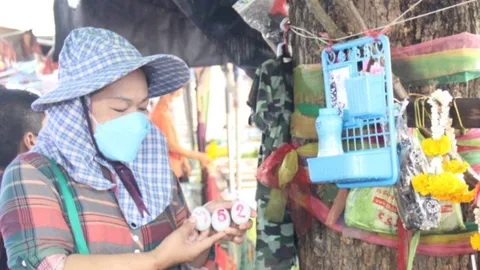 ฮือฮา "เจ้าพ่อเจ้าแม่สะเดาคู่" ให้โชคนับแสน คอหวยไม่พลาดส่องเลขเด็ด (คลิป)