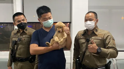 ได้กลับบ้านแล้ว "มูมู่" สุนัขโกลเด้นฯ พลัดหลงช่วงฝนตก