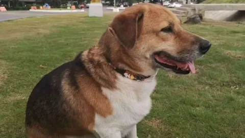 ลุงสมศักดิ์เจ้าของ "พี่เตี้ย" ไปศาลนัดสืบพยาน หวังนายสิบ ตชด.ถูกลงโทษ