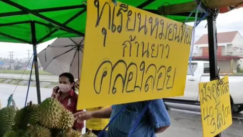 นายอำเภอสั่งจับแม่ค้า แอบอ้างขาย "ทุเรียนคลองลอย" ทำเสียชื่อ 