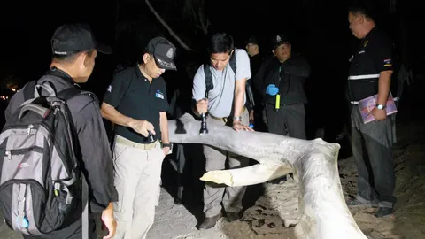 ย้อนคดีเกาะเต่า