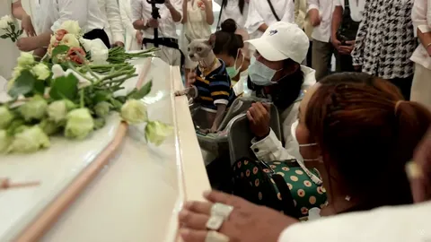 แมว 3 ตัวลูกๆ ที่ "แตงโม" รักมาก มาร่วมกันส่งแม่ครั้งสุดท้าย (คลิป)