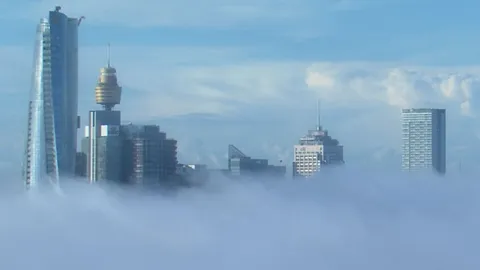 เมืองซิดนีย์ กลายเป็นเมืองในหมอก หลังมีหมอกหนายามเช้าปกคลุมทั้งเมือง