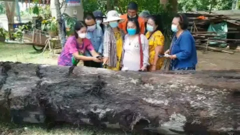 พา "แม่เลี้ยง" ถูกรางวัลที่ 1 ประเดิมทาแป้ง หาเลขเด็ด ตะเคียนทอง วัดวังวน