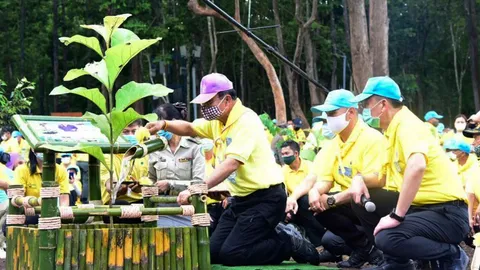 ทส. ชวนคนไทยทั่วประเทศ ร่วมปลูกต้นไม้เทิดพระเกียรติ "พระราชินี" เนื่องในวันเฉลิมพระชนมพรรษา