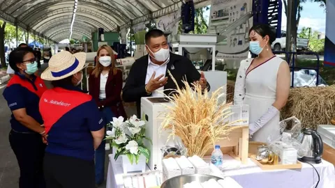 "กรมข้าว" ชวนชมงานถ่ายทอดเทคโนโลยีการผลิตข้าว จ่อจัดใหญ่อีก 3 ภาค