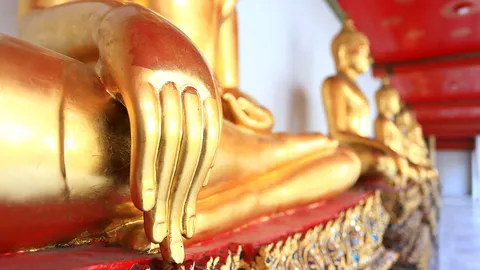 มัทรีอัมพวา