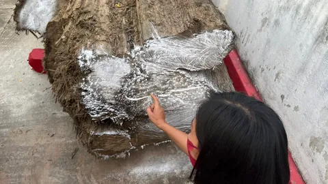 บวงสรวงตะเคียนทองอายุ กว่า 100 ปี นักเสี่ยงโชคได้ "เลขเด็ด" ตรง "เลขดัง" (คลิป)