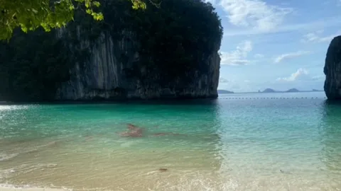 ฝูงแมงกะพรุนไฟโผล่เต็มชายหาดเกาะห้อง ขึ้นธงแดงห้ามนักท่องเที่ยวเล่นน้ำ (คลิป)