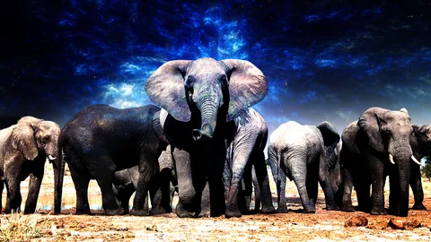 ฝันว่าช้างวิ่งไล่ เครื่องเตือนใจยิ่งใหญ่ทำชีวิตให้สำเร็จ