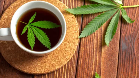 จัดไปวัยรุ่น 30 แคปชั่นกัญชาฮาๆ กวนๆ รับกระแสปลดล็อก