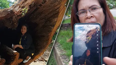 ขนลุก ภาพหลอนในโพรงตะเคียน ใบหน้าจากสาวกลายเป็นแก่หง่อม