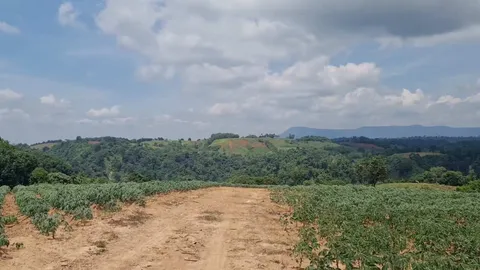 นอภ.วังน้ำเขียว กำชับรีสอร์ตที่พัก เตือนนักท่องเที่ยวอย่าถ่ายคลิปโป๊