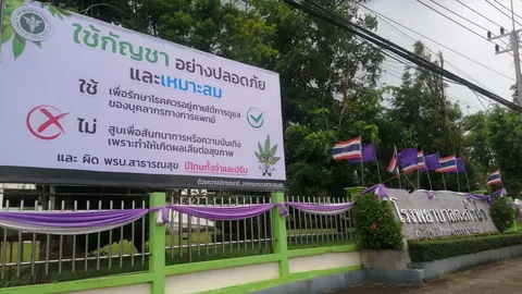 โรงพยาบาลตะกั่วป่า ขึ้นป้ายเตือนประชาชน ถึงอันตรายจากใช้กัญชาเกินขนาด