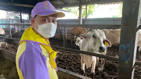 ผบก.ปคม.- แม่บ้าน บช.ก. จัดกิจกรรมไถ่ชีวิตโค-กระบือ ถวายเป็นพระราชกุศล