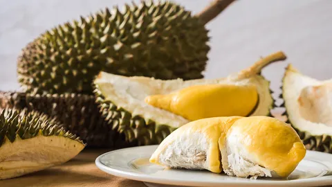 ทุเรียนน้ำกร่อย อีกของดีจันทบุรี
