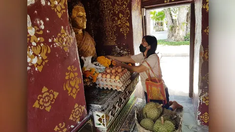 ขนทุเรียนกว่า 100 กิโล แก้บนพระเจ้าทันใจ วัดช่อแฮ หลังลูกสอบครูผู้ช่วยได้