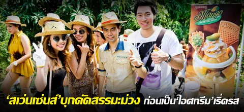 'สเวนเซ่นส์'บุกคัดสรรมะม่วง ก่อนเป็น'ไอศกรีมมะม่วง'เริ่ดรส