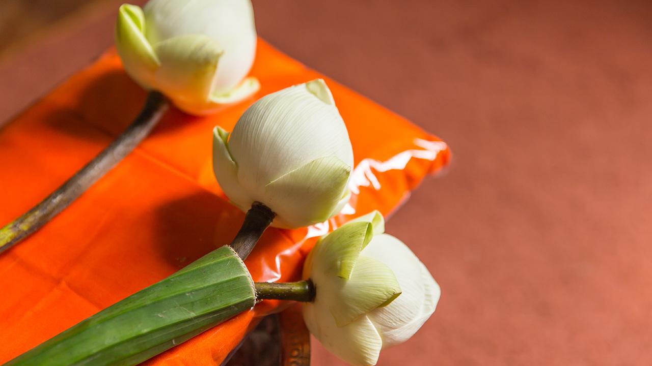 .วิธีเสริมดวงของคนทั้ง 7 วัน เรียกชื่อเสียง การเงิน โชคลาภ มีความสำเร็จ.