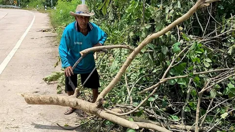 คนเผาถ่านนครสวรรค์ดีใจถ่านไม้ขายดี ต้องจองตอนเผาคิวยาวไปหลายเดือน