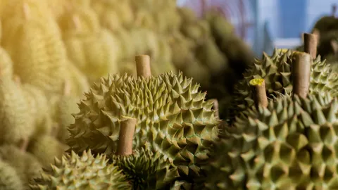 "บิ๊กตู่" ยินดี ส่งออกทุเรียนไทยไปจีน ทะลุเกินเป้า 5 แสนตัน ยืนยันคุณภาพ