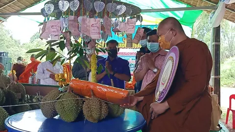 ทอดผ้าป่าทุเรียนที่นครไทย วันแรกได้ 3 ตัน นำรายได้มอบผู้ยากไร้